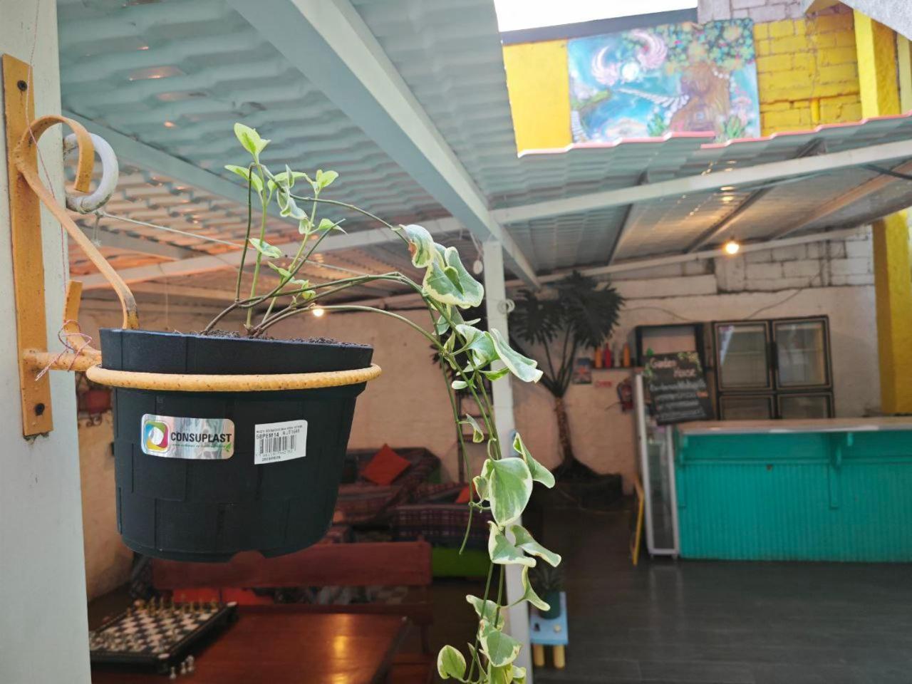 Garden House Hostal บาญอส ภายนอก รูปภาพ