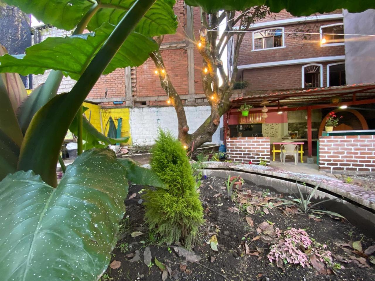 Garden House Hostal บาญอส ภายนอก รูปภาพ