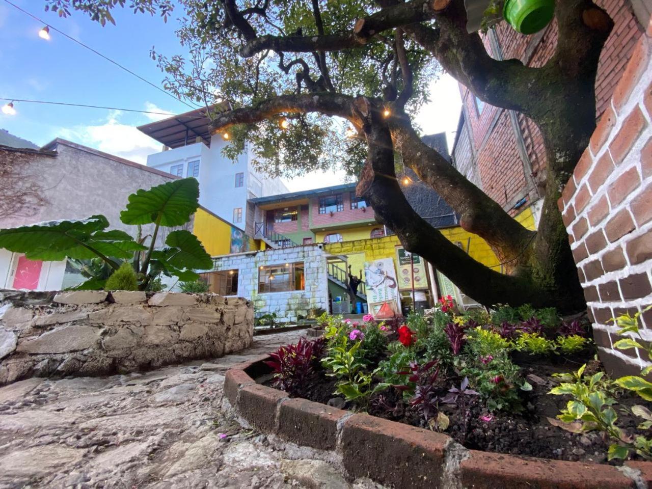 Garden House Hostal บาญอส ภายนอก รูปภาพ