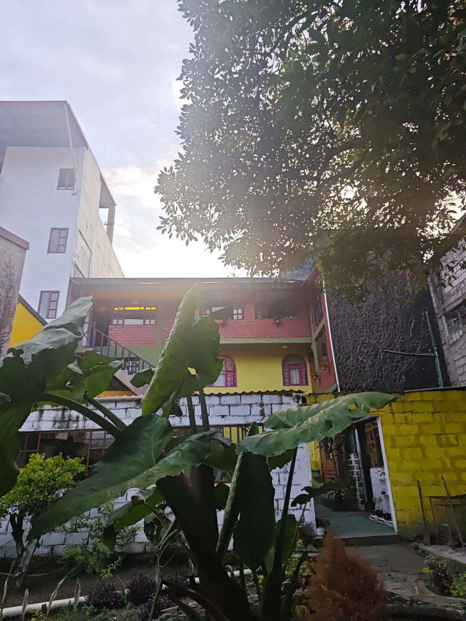 Garden House Hostal บาญอส ภายนอก รูปภาพ