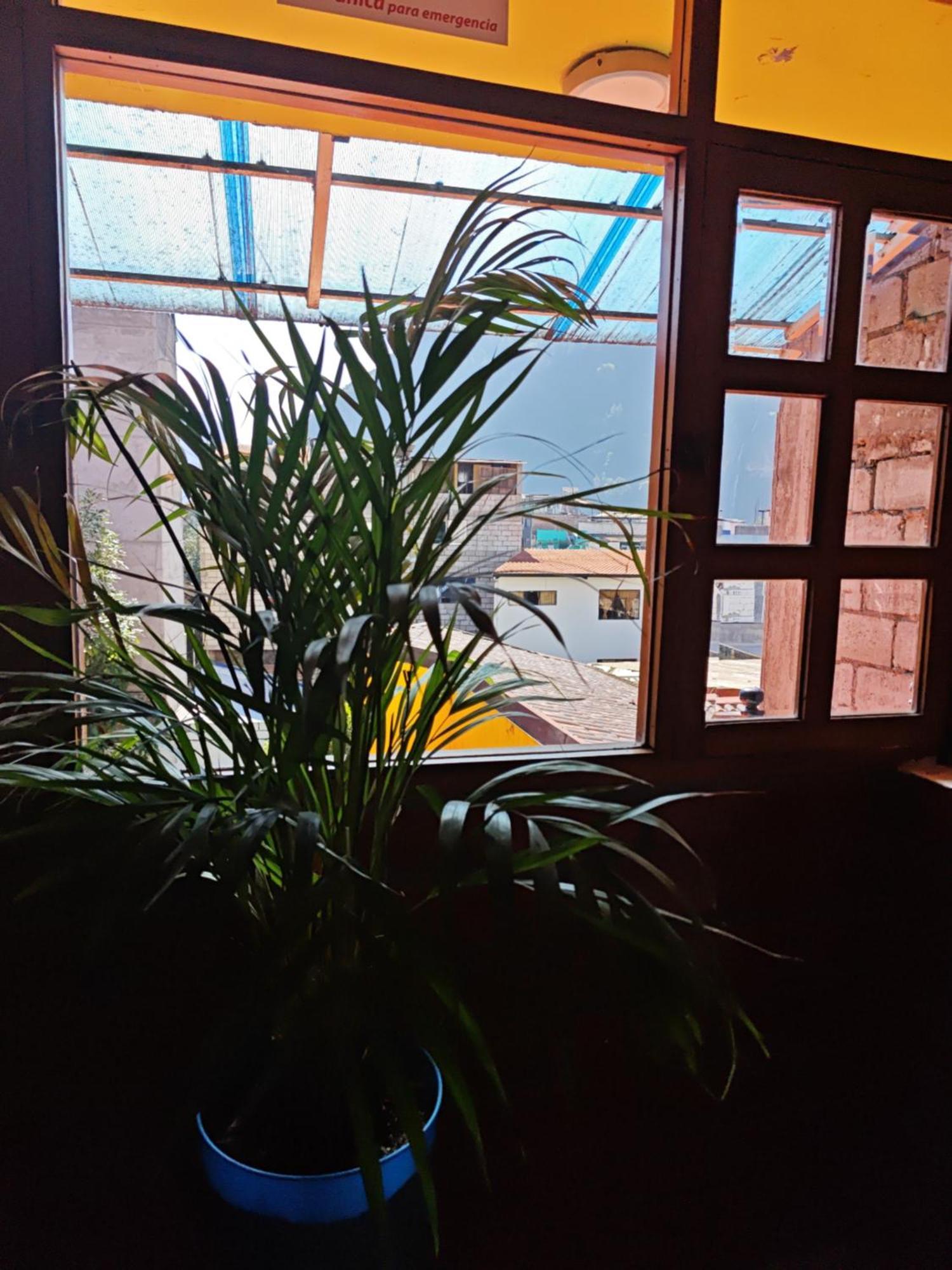 Garden House Hostal บาญอส ภายนอก รูปภาพ