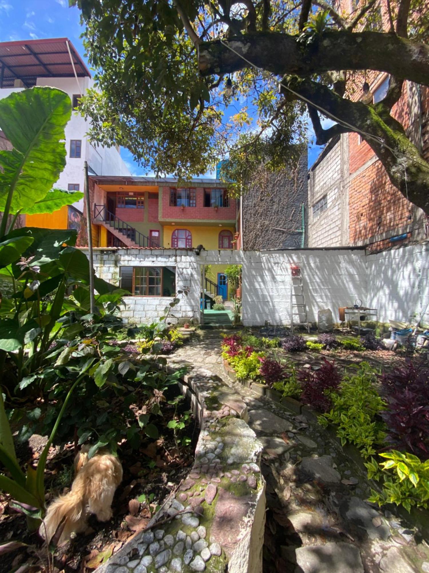 Garden House Hostal บาญอส ภายนอก รูปภาพ